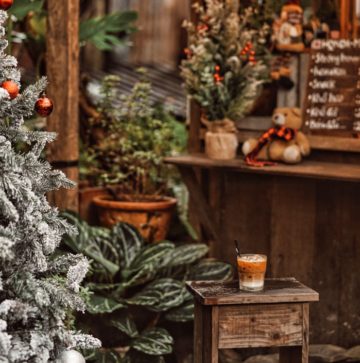 The Art of Choosing the Perfect Christmas Tree: A Comprehensive Guide