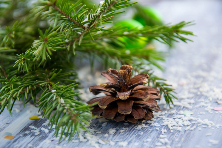 How a Pink Christmas Tree with Lights Can Help Relieve Trauma with CBT Techniques